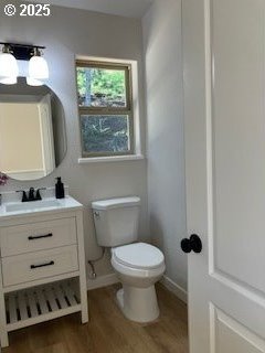 bathroom with vanity, hardwood / wood-style flooring, and toilet