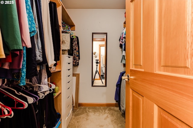 walk in closet with light colored carpet