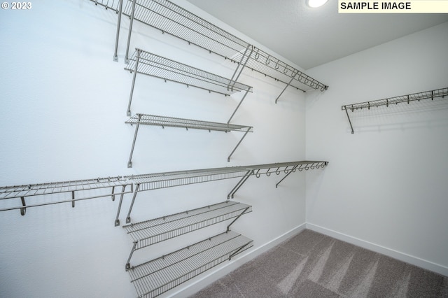 spacious closet featuring carpet flooring