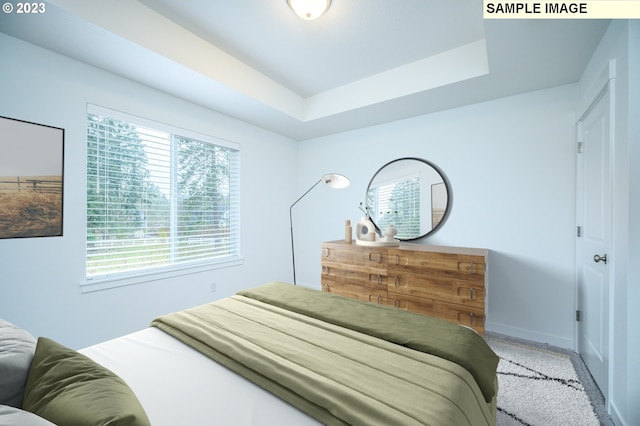 bedroom with baseboards and a raised ceiling