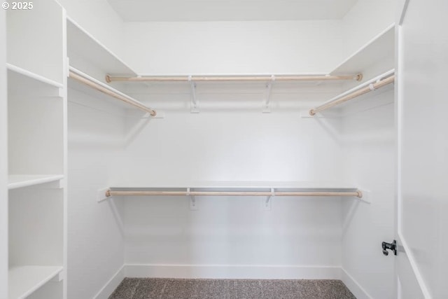 774 Riley Dr, Silverton, OR 97381 - spacious closet with carpet