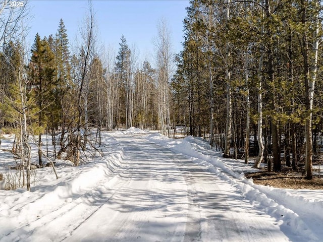 view of street featuring a forest view