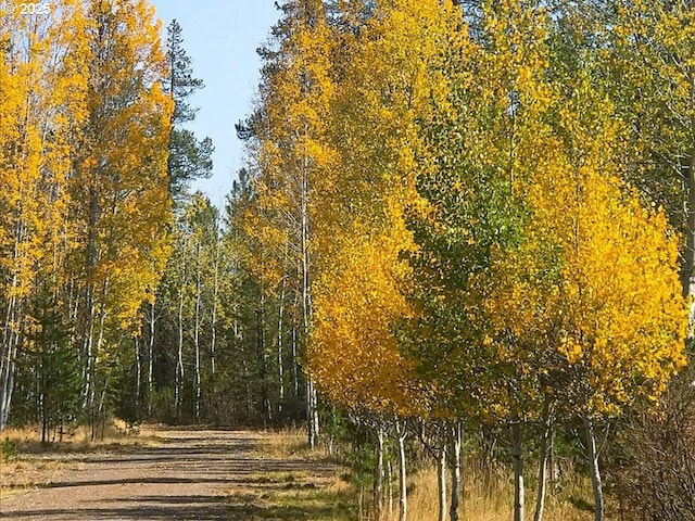 view of nature