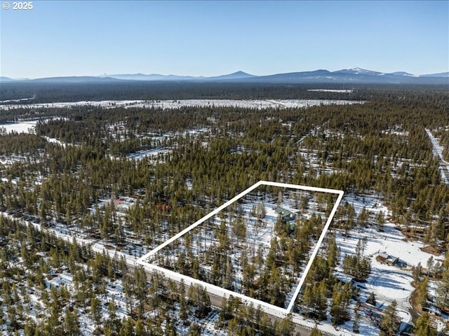 snowy aerial view featuring a mountain view