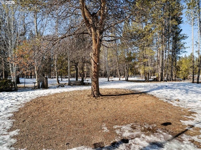 view of yard covered in snow