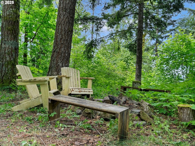 1171 Mabee Mines Rd, Washougal, WA 98671 - view of yard