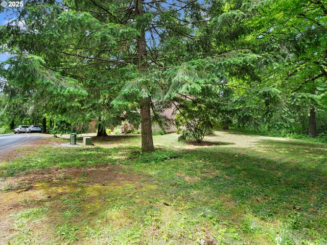 1171 Mabee Mines Rd, Washougal, WA 98671 - view of grassy yard