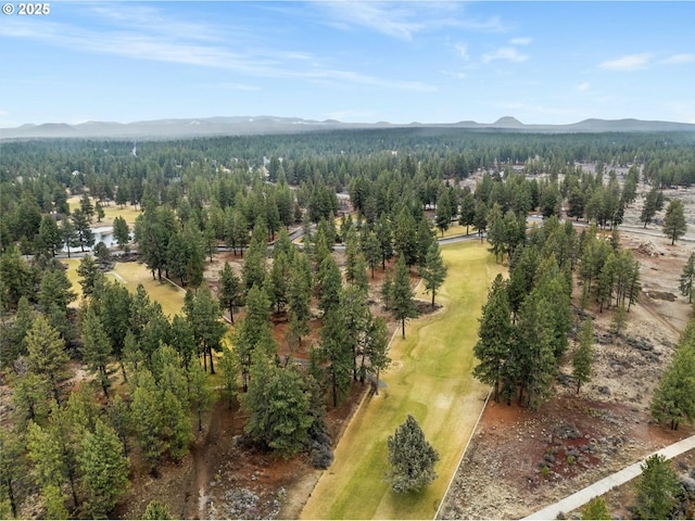 drone / aerial view with a mountain view and a view of trees