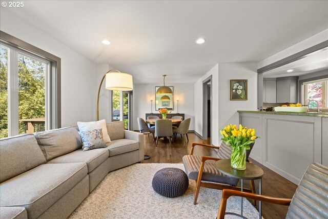 living area with wood finished floors and recessed lighting