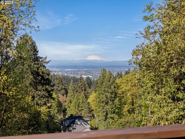 view of mountain backdrop with a forest