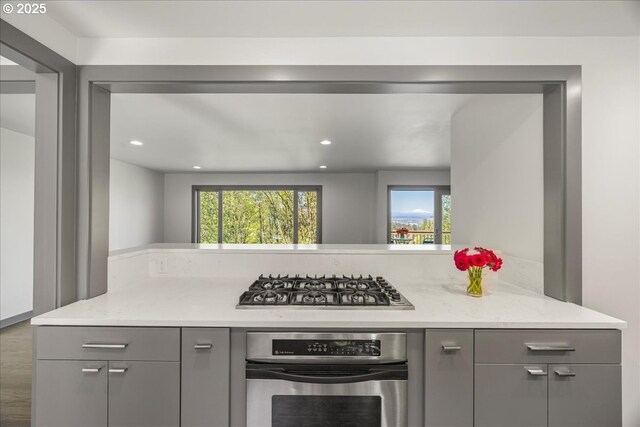 kitchen featuring gray cabinetry, stainless steel appliances, recessed lighting, wood finished floors, and light stone countertops