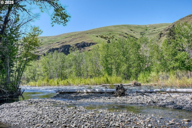 54693 Bingham Rd, Adams, OR 97810 - mountain view