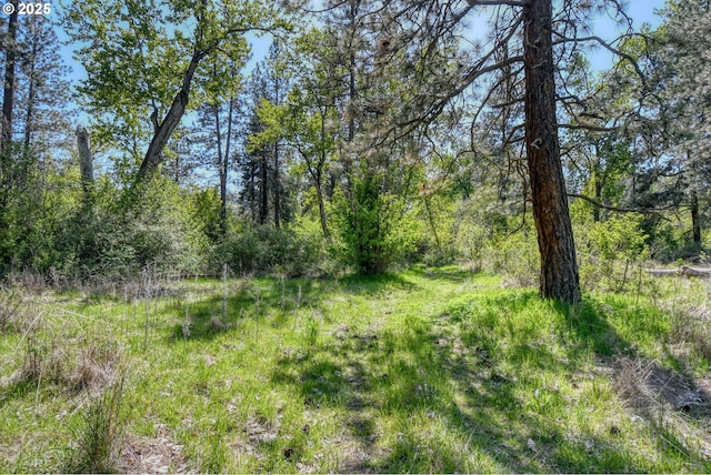view of landscape featuring a wooded view