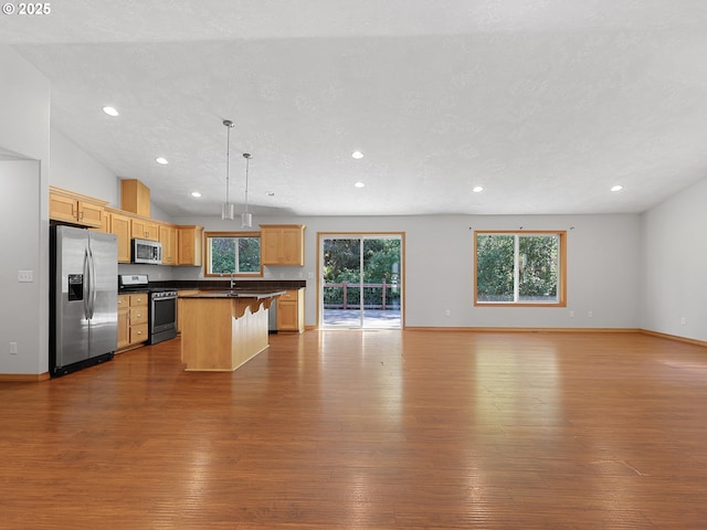 kitchen featuring stainless steel appliances, open floor plan, dark wood-type flooring, dark countertops, and recessed lighting