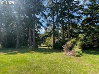 53742 Rosa Rd, Bandon, OR 97411 - view of grassy yard