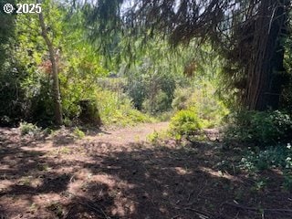 53742 Rosa Rd, Bandon, OR 97411 - view of wooded area
