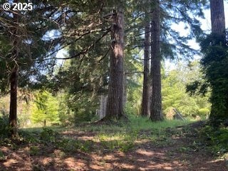 53742 Rosa Rd, Bandon, OR 97411 - view of undeveloped land