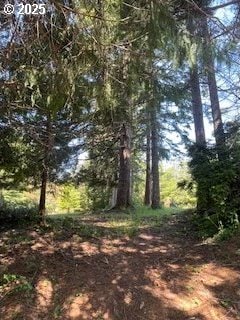 53742 Rosa Rd, Bandon, OR 97411 - view of undeveloped land
