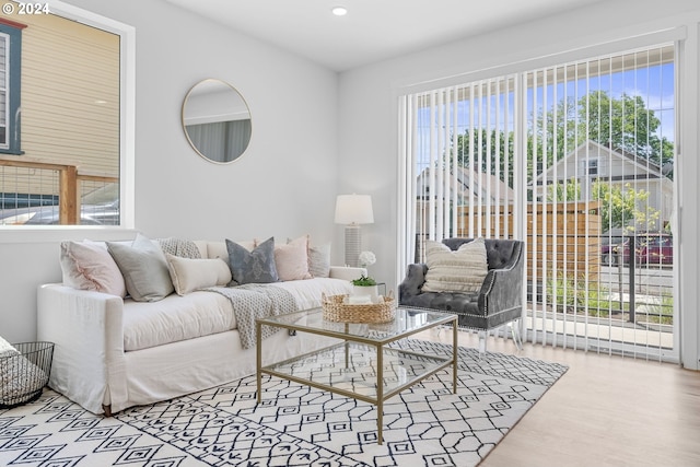 living room featuring hardwood / wood-style floors