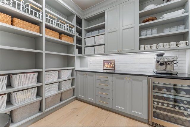 pantry with beverage cooler