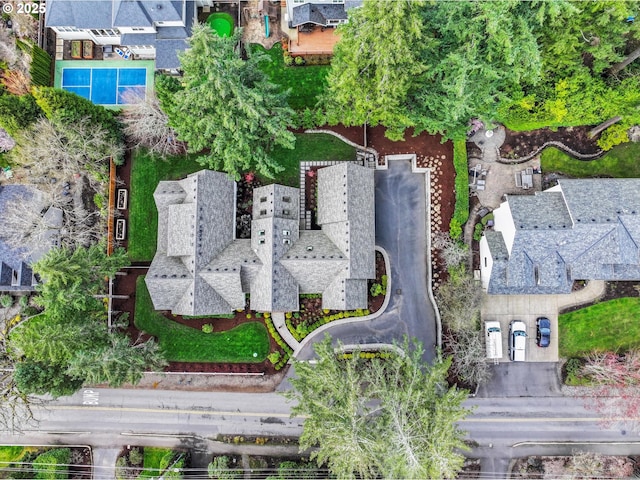 bird's eye view