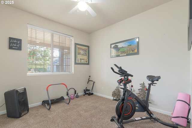 1281 Alderdale Dr, Junction City, OR 97448 - workout area with carpet flooring, baseboards, and ceiling fan