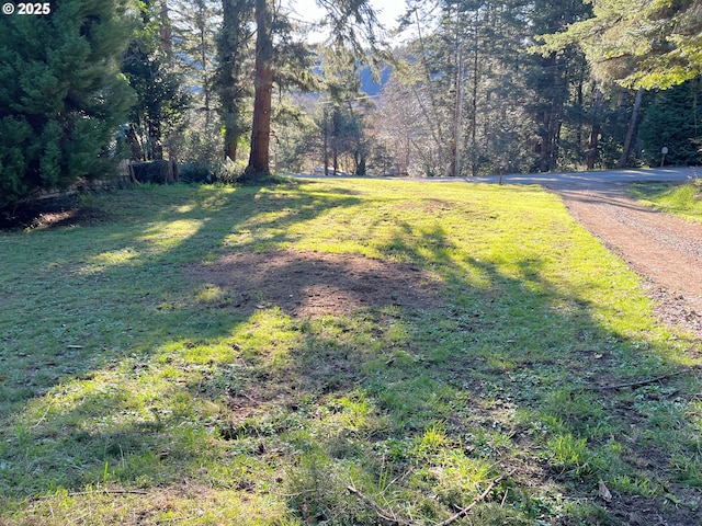 28397 Mateer Rd, Gold Beach OR, 97444 land for sale