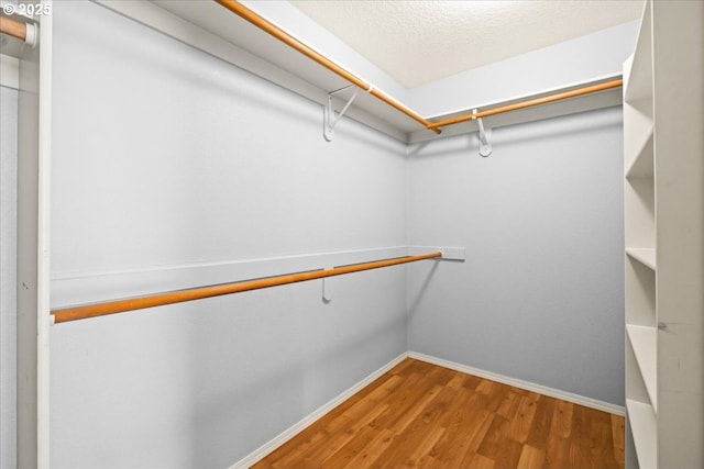 5836 NE Farnham St, Hillsboro, OR 97124 - walk in closet featuring wood finished floors