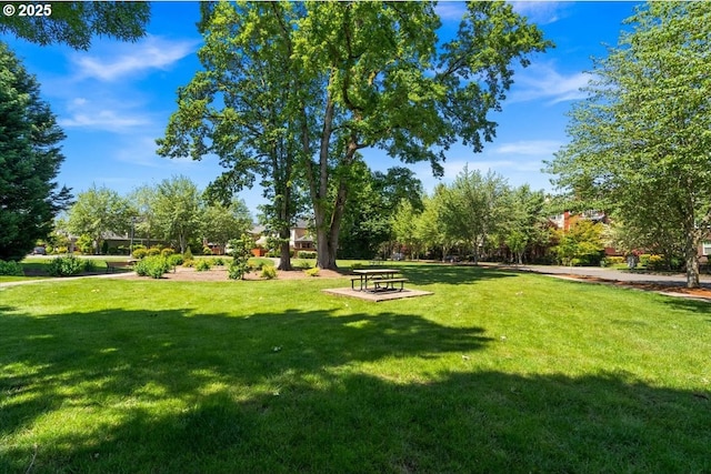 5836 NE Farnham St, Hillsboro, OR 97124 - view of green lawn