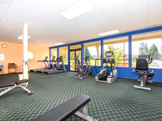 exercise room featuring carpet floors and a paneled ceiling