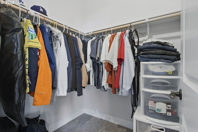 29169 NW King St, North Plains, OR 97133 - walk in closet with carpet floors