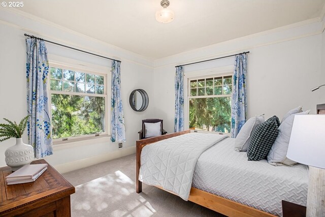 1314 SE 55th Ave, Portland, OR 97215 - bedroom with carpet floors, crown molding, and baseboards