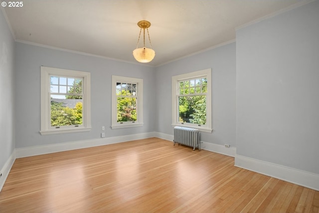 1314 SE 55th Ave, Portland, OR 97215 - empty room featuring radiator, light wood-style flooring, healthy amount of natural light, baseboards, and ornamental molding