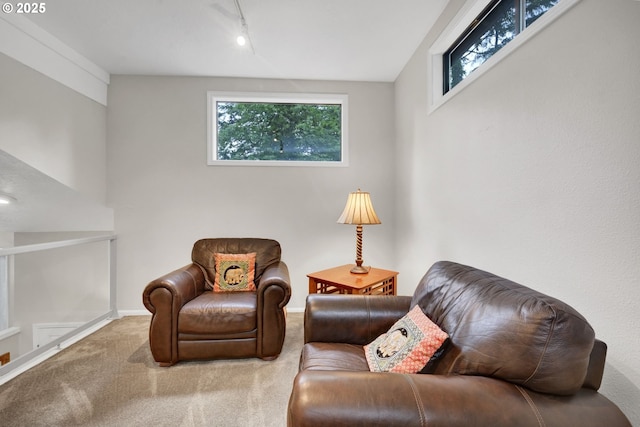 2002 Kimberly Dr, Eugene, OR 97405 - living area featuring carpet, rail lighting, and baseboards