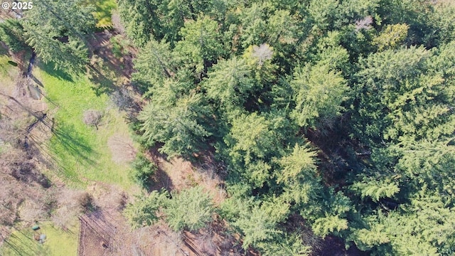 drone / aerial view with a forest view