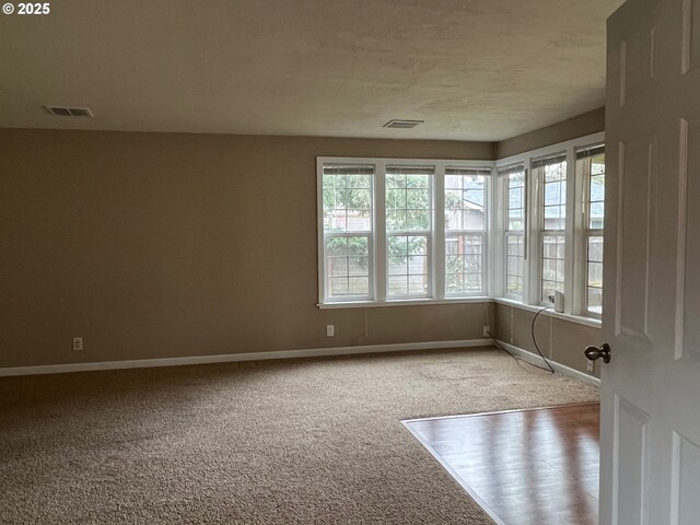 spare room featuring plenty of natural light and carpet floors