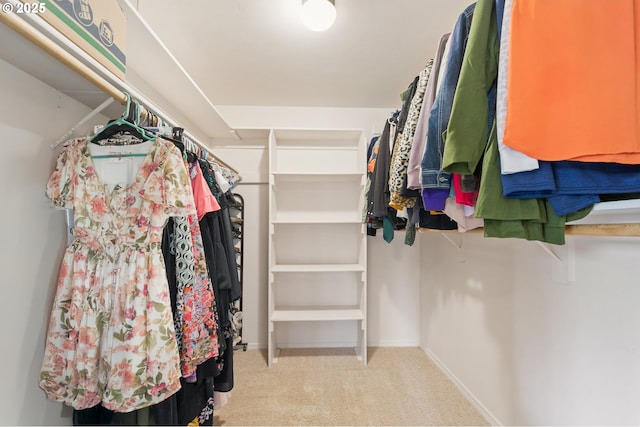 spacious closet with carpet