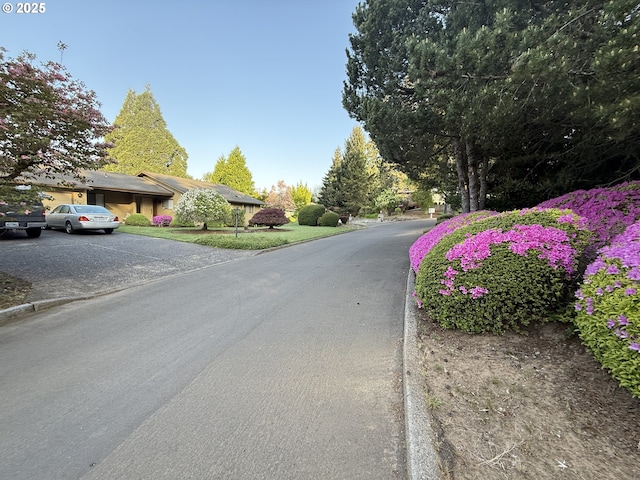 view of asphalt street featuring curbs