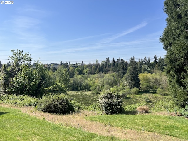 view of local wilderness