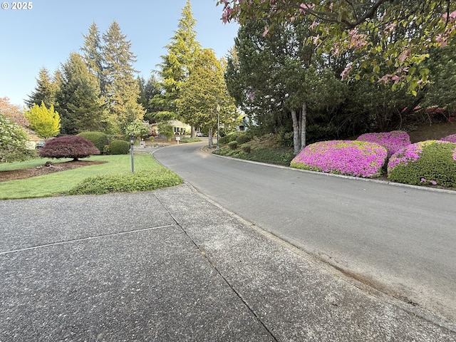 view of asphalt road