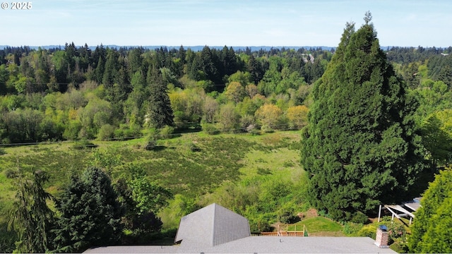 aerial view of a forest