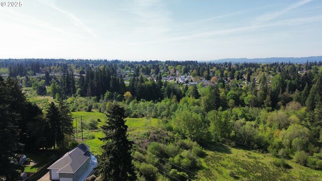 drone / aerial view of a forest