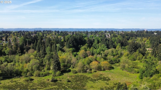 bird's eye view of a forest