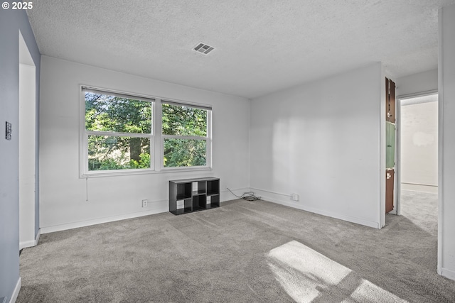 empty room featuring light colored carpet and a textured ceiling