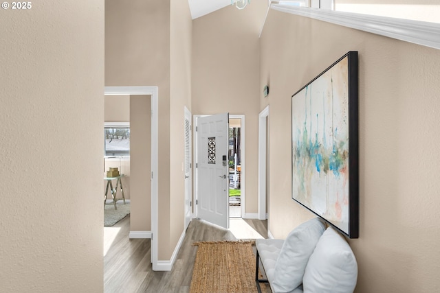 entryway with baseboards, a towering ceiling, and wood finished floors