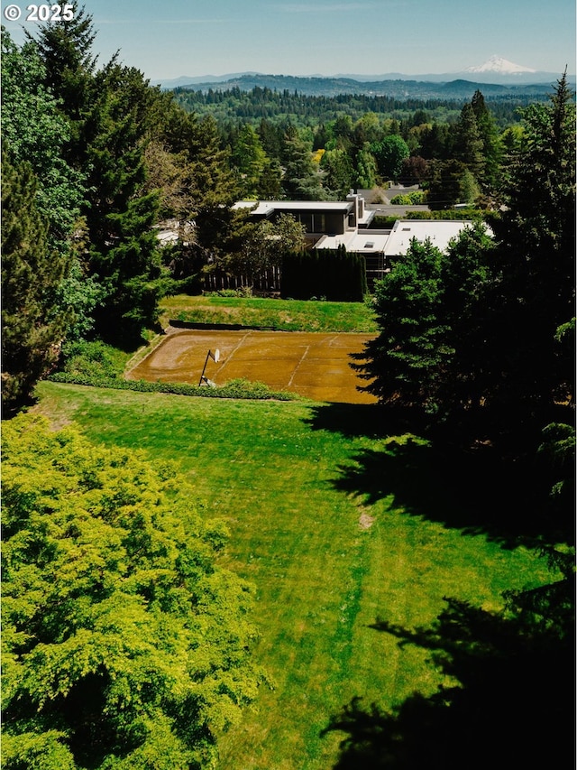 13092 Amber Pl, Lake Oswego, OR 97034 - view from above of property featuring a forest