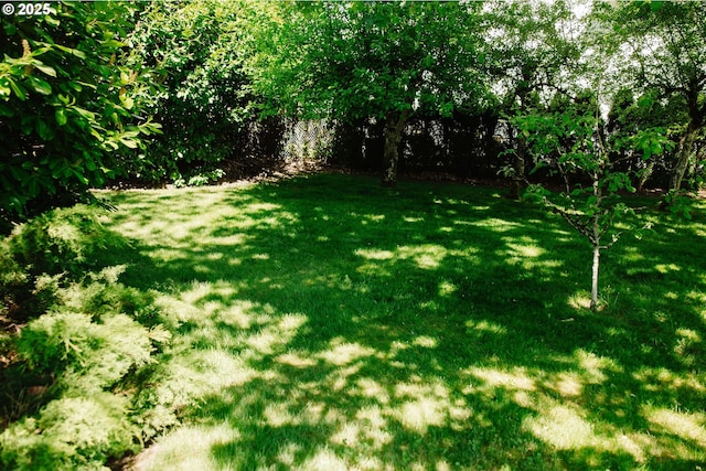 13092 Amber Pl, Lake Oswego, OR 97034 - view of grassy yard