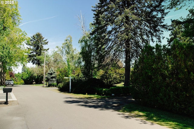 13092 Amber Pl, Lake Oswego, OR 97034 - view of asphalt road