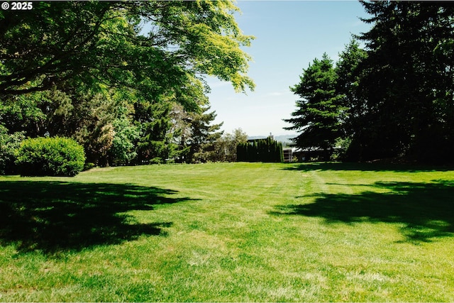 13092 Amber Pl, Lake Oswego, OR 97034 - view of grassy yard