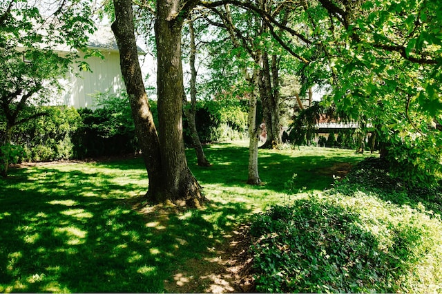 13092 Amber Pl, Lake Oswego, OR 97034 - view of grassy yard